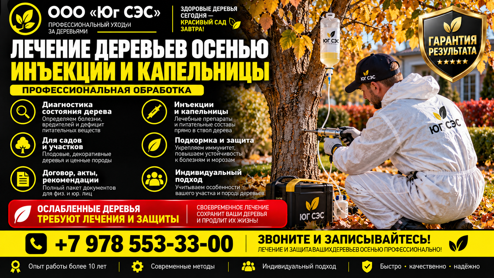 Лечение деревьев осенью: инъекции и капельницы | ООО «Юг СЭС»